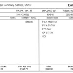Pay Stub Template Word Document | Template Business Regarding Blank Pay Stub Template Word